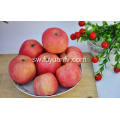 Export New Quality Mazao Bora Competitive Fuji apple